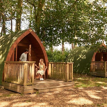 Pinewood - At Port Lympne Reserve Хайт Екстериор снимка
