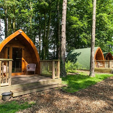 Pinewood - At Port Lympne Reserve Хайт Екстериор снимка