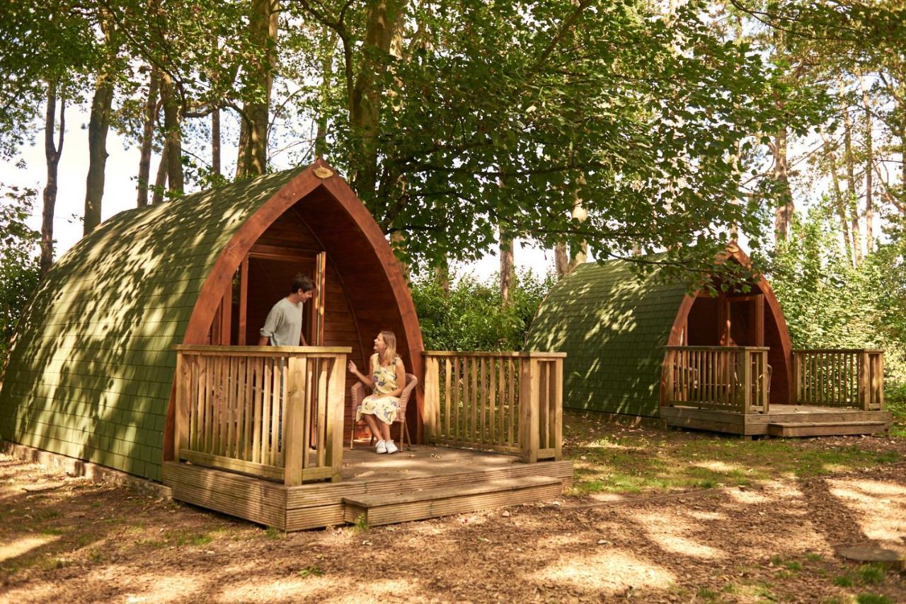 Pinewood - At Port Lympne Reserve Хайт Екстериор снимка