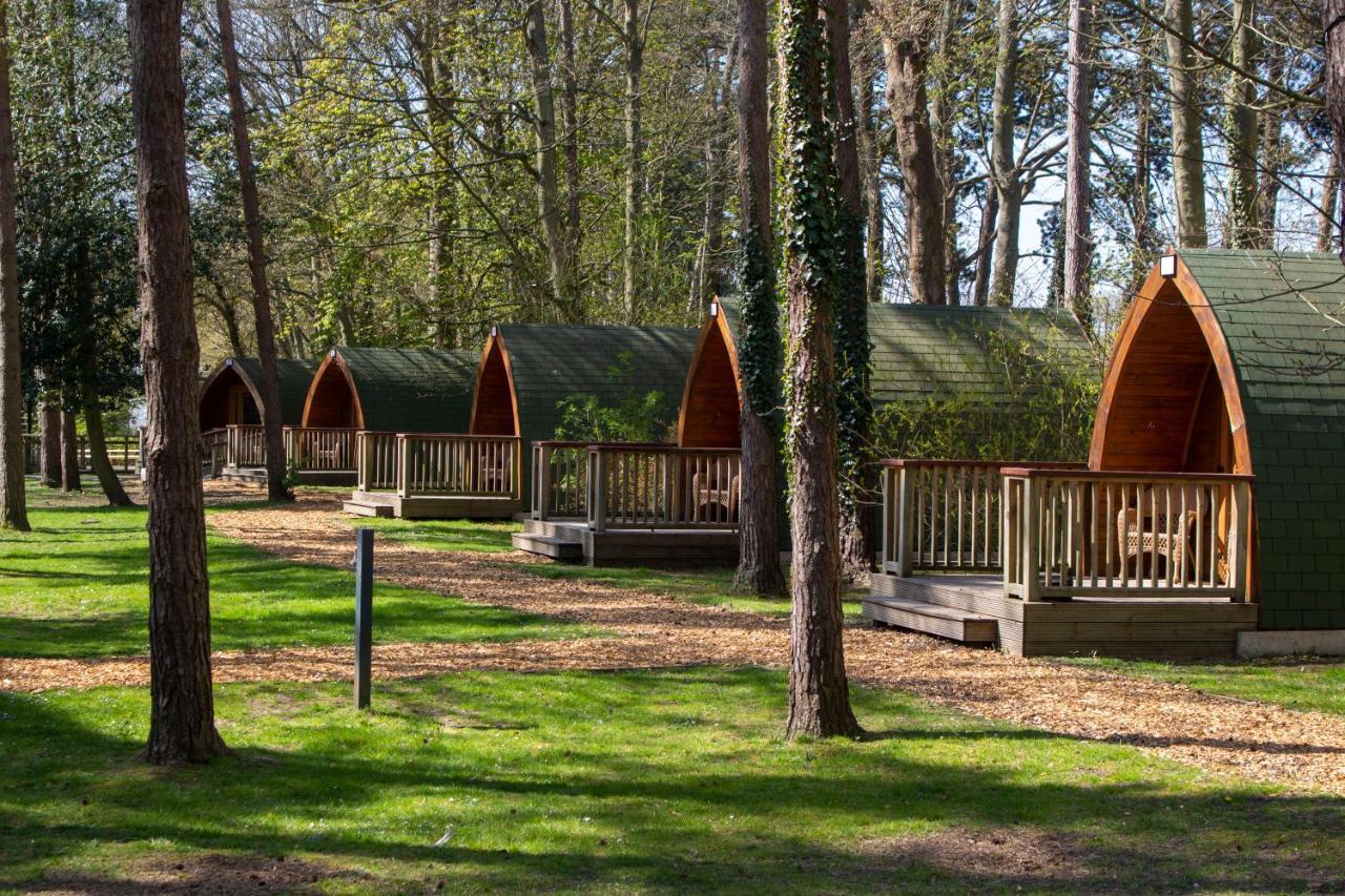 Pinewood - At Port Lympne Reserve Хайт Екстериор снимка