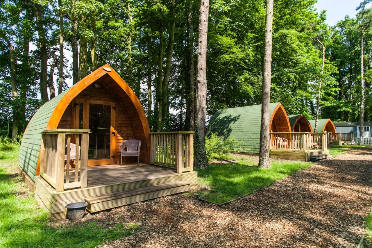 Pinewood - At Port Lympne Reserve Хайт Екстериор снимка